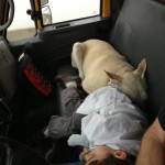 Truck drivers - asleep